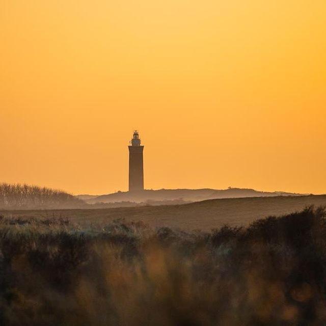 Vakantiewoning De Schelp Ellemeet Eksteriør billede