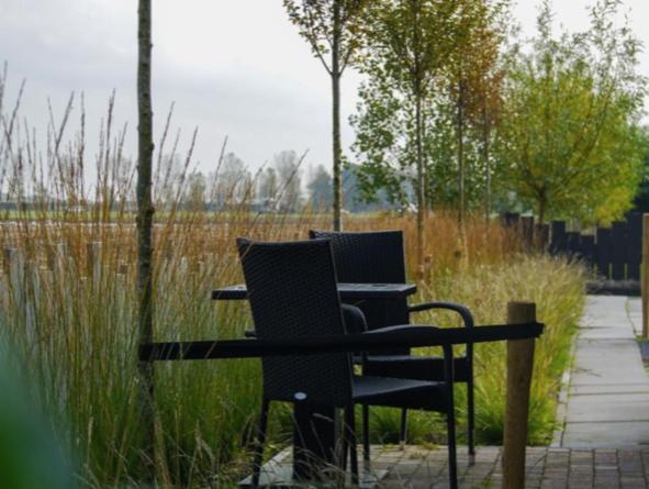 Vakantiewoning De Schelp Ellemeet Eksteriør billede